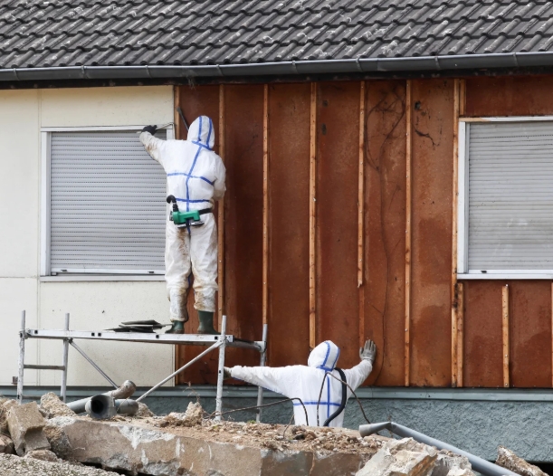 Asbestos Removal Newstead